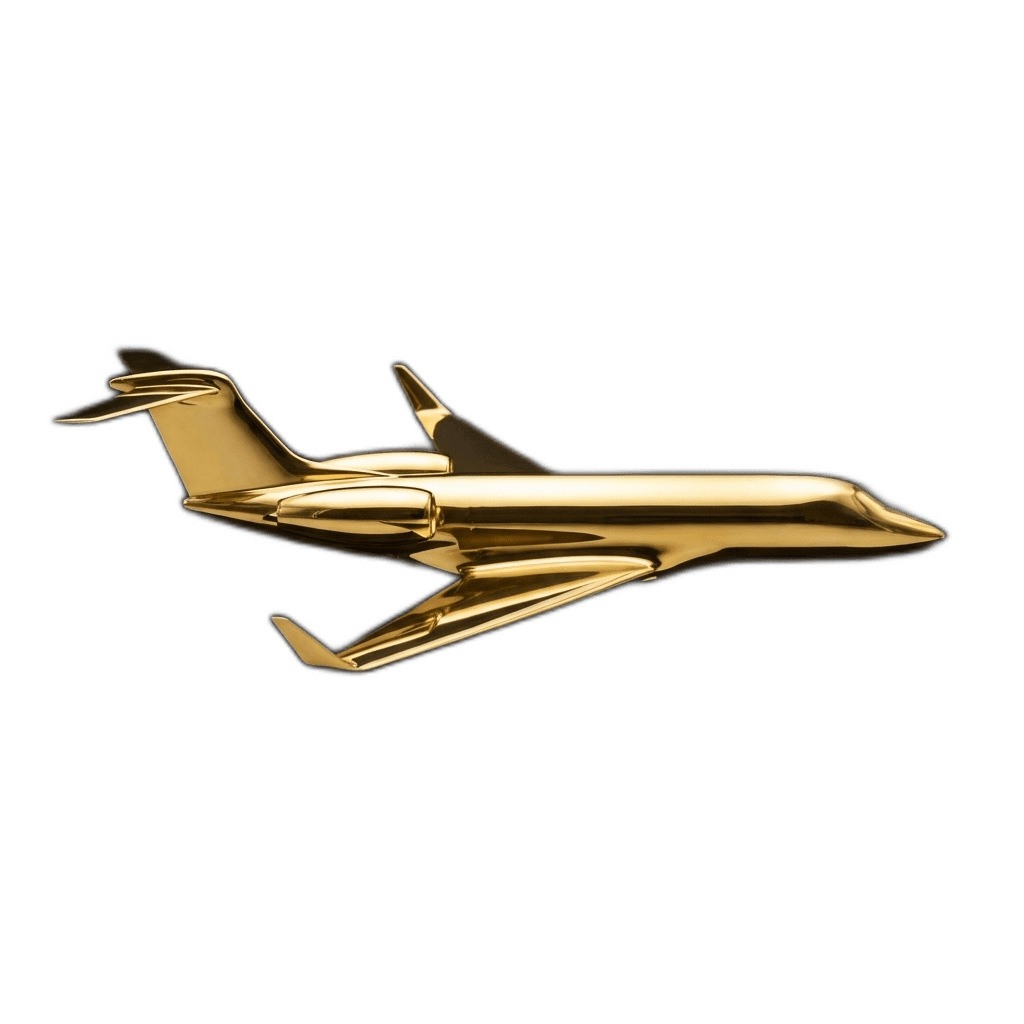 Luxury Private Jet